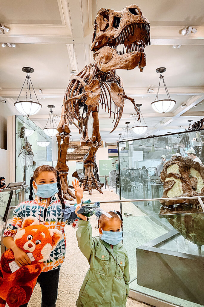 new york dinosaur museum