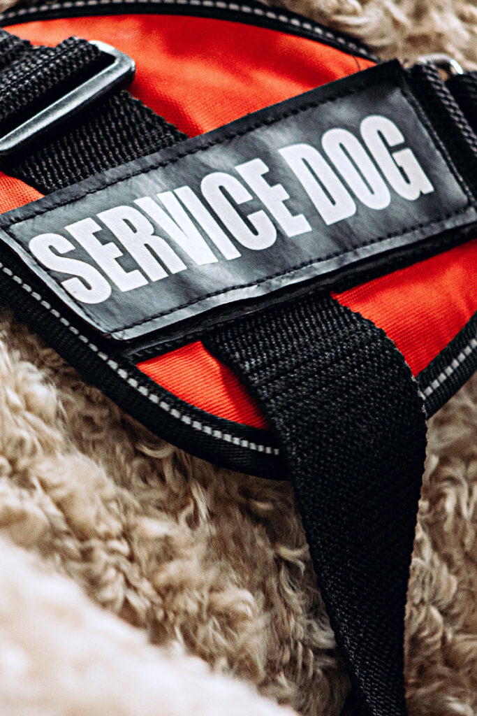 medical alert service dog vest